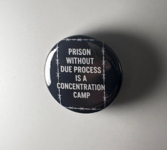 Anti Trump Anti-Fascist F*ck ICE Prison 1.25" Button P008B125 Badge Pin