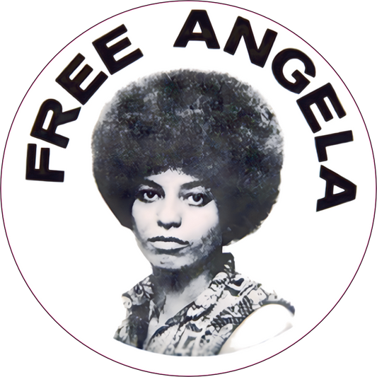 Free Angela Davis Black Panther Party Sticker A016S