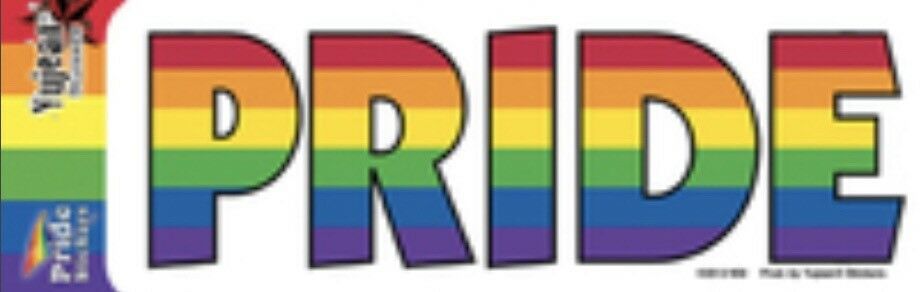 Pride Rainbow Flag LGBTQ Sticker P004S