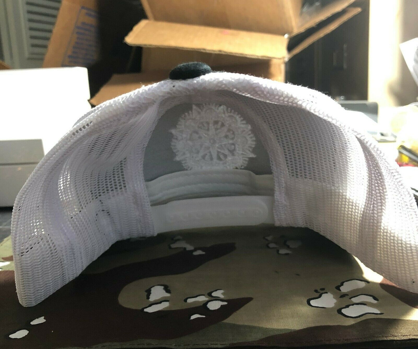 Lungfish Pass And Stow Daniel Higgs Baseball Hat Cap