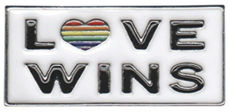 Love Wins Rainbow Flag LGBTQ Enamel Lapel Pin L004PC