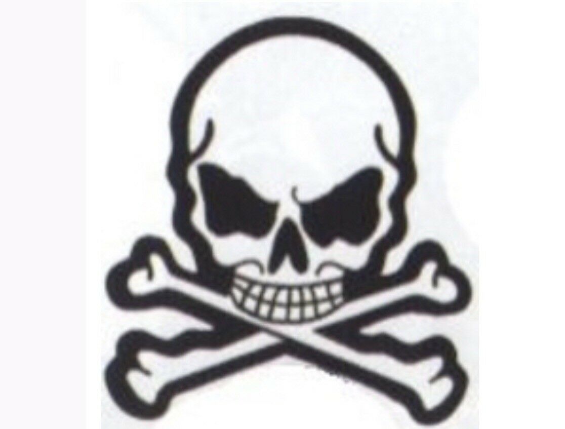 Skull And Crossbones Embroidered Back Patch S018P