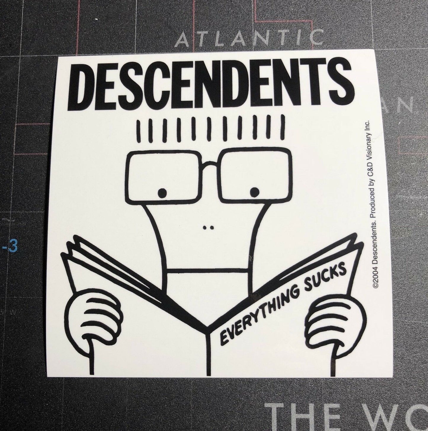 Descendents Everything Sucks Sticker D001S