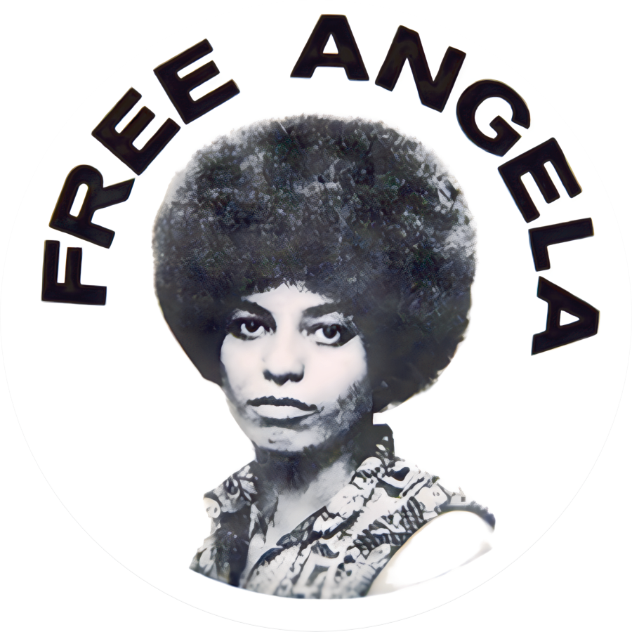 Free Angela Davis Black Panther Party Sticker A016S