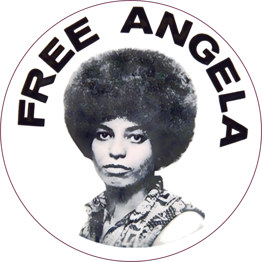 Free Angela Davis Black Panther Party Sticker A016S
