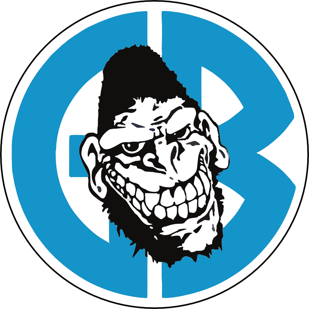 Straight Edge Hardcore NYHC SXE Sticker G028S