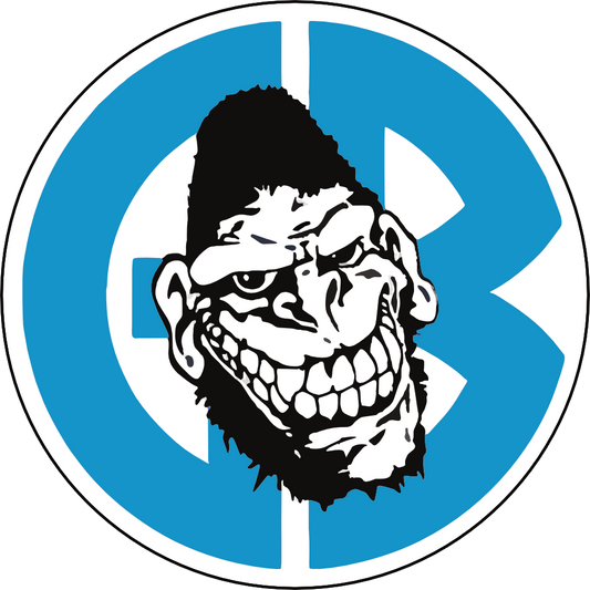 Straight Edge Hardcore NYHC SXE Sticker G028S