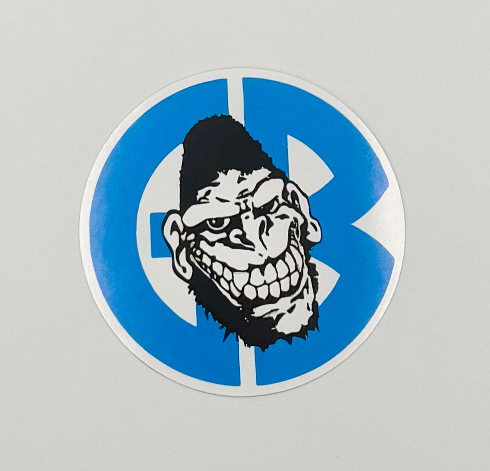 Straight Edge Hardcore NYHC SXE Sticker G028S